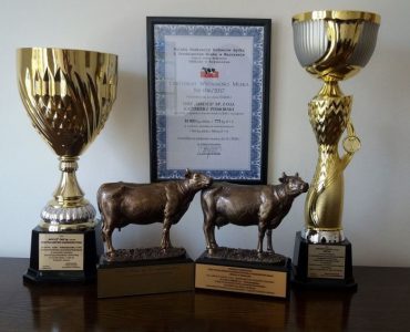 17390841_1341391042607729_4447396324942770794_o